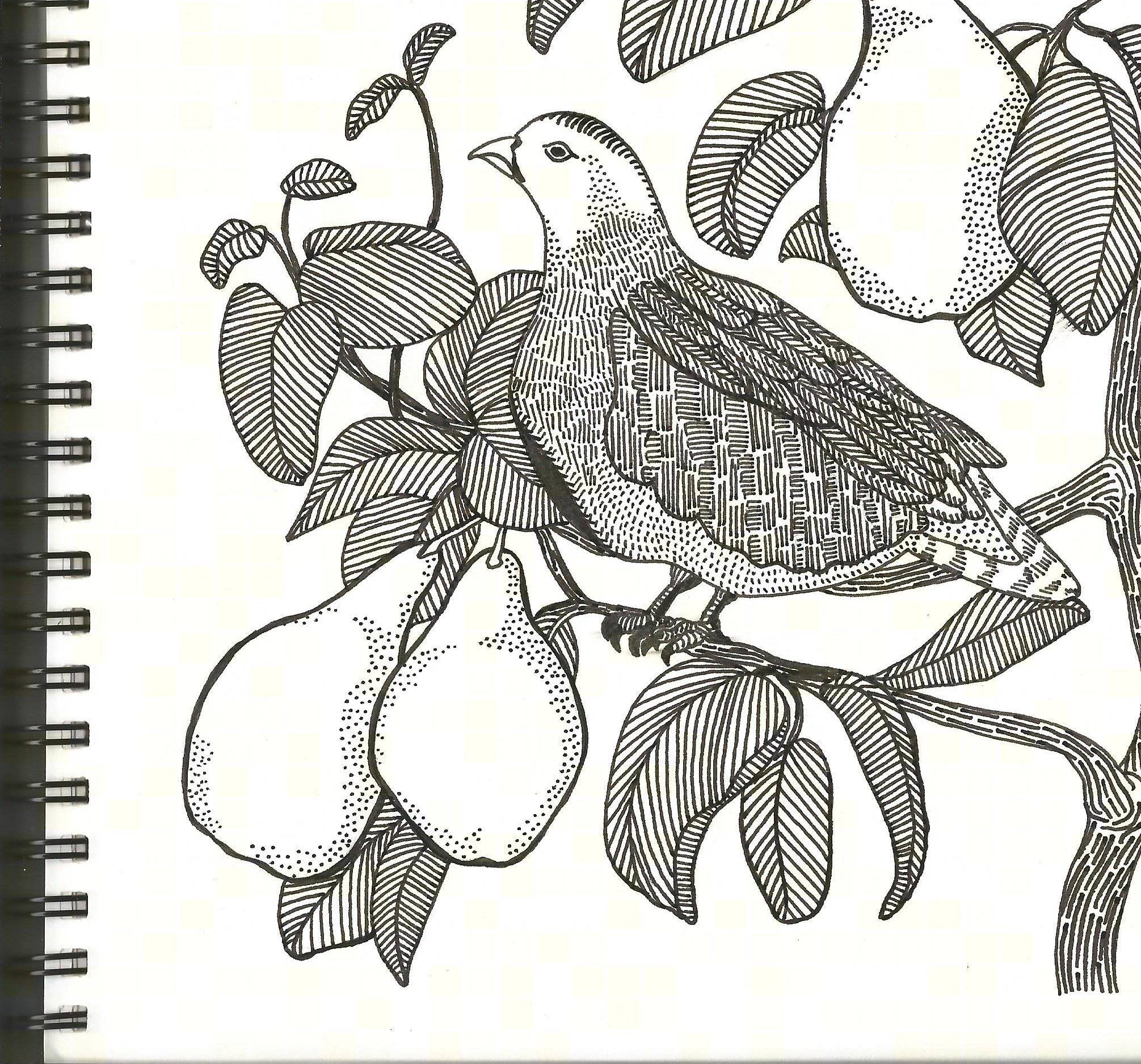 A Partridge in a Pear Tree — Studio Linnert